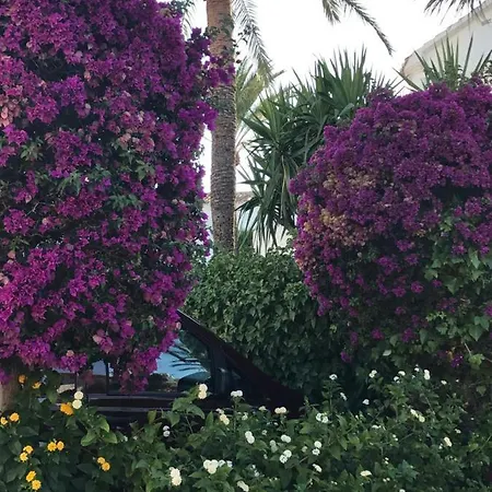 Appartement Oasis Paradise