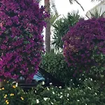 Διαμέρισμα Oasis Paradise