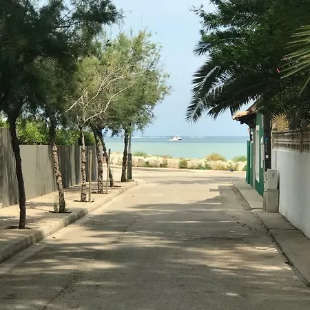 Oasis Paradise * Denia