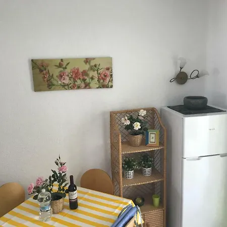 Oasis Paradise Apartament