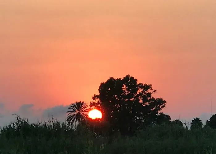 Oasis Paradise Διαμέρισμα