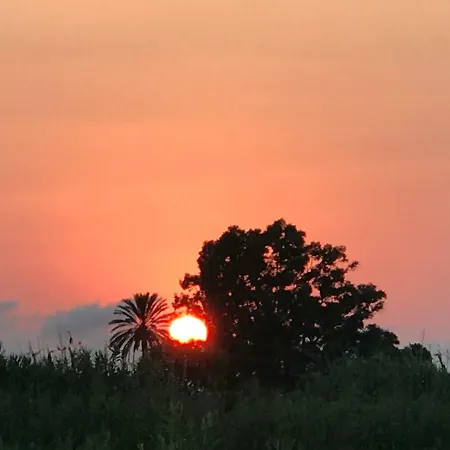 Oasis Paradise Lejlighed